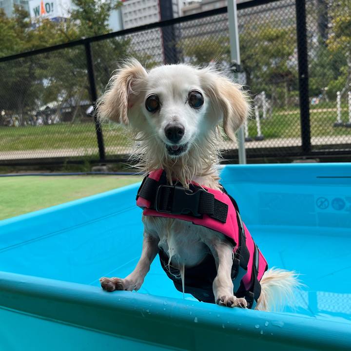 1365b70e b54e 45d4 88cd 292b6bbd0334 1758880682004