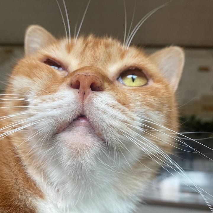 136620ae 8852 4881 8073 cf1a4673c815 1629090689171