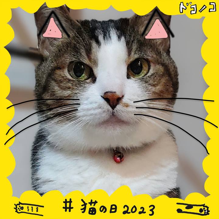 13665073 0331 4b3b 9a46 ac3cab16a18e 1677044643014