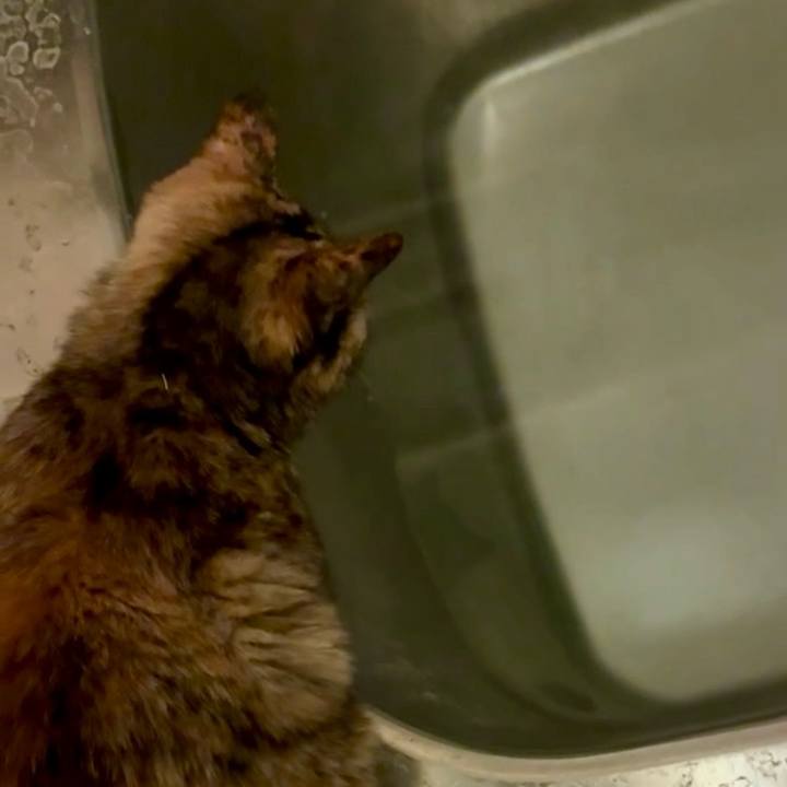 13667506 3443 4fe8 a659 ef3f4c66470d 1746213563055