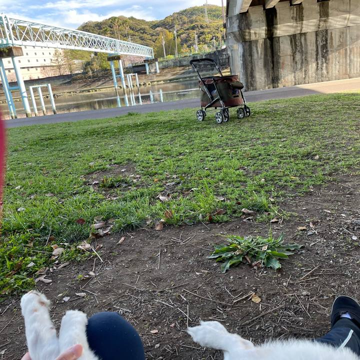 1366757b 9cf5 496e 8c27 073048ec65cb 1648987210199