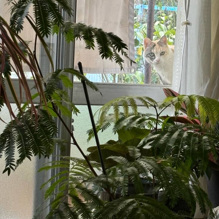 13667758 f3d9 4ef0 8a95 1b0dd6464caf 1736483447704