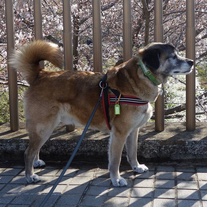 1366a290 4361 4f46 854d aa420e51385e 1632270112527