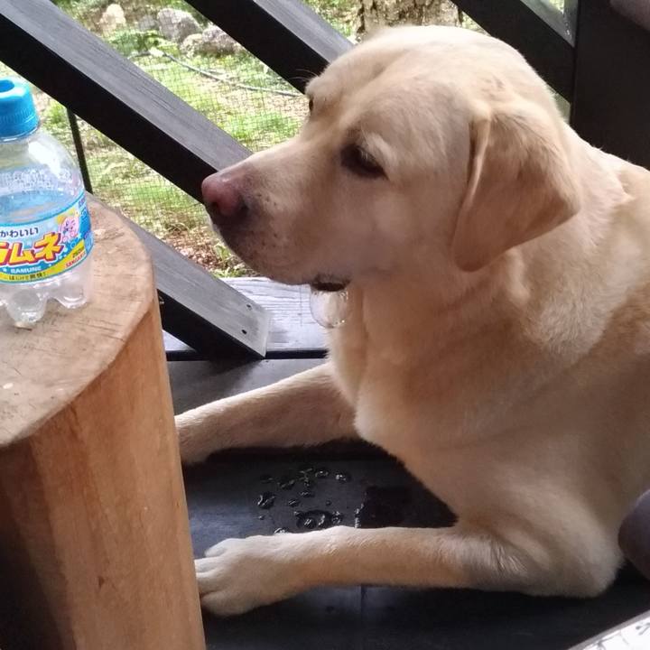 1366bcf6 fb77 477c 9603 388b1ad2094e 1628692261224