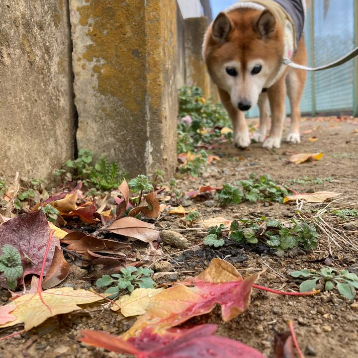 13674c1c cb07 4ef6 8943 3e498b550288 1734567540678