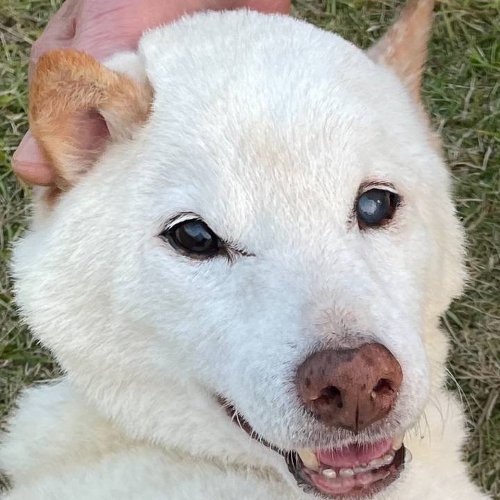 136765af 5b4c 4e90 b399 ec47afc9b3d8 1668132220846