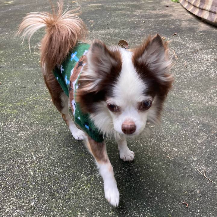 13678305 2456 43b5 9f07 7beced7aa2b8 1639827332239