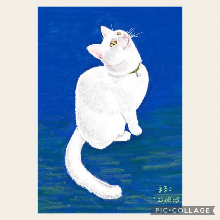 1367b783 d3e7 4852 a134 a25630d02a0b 1659650387876