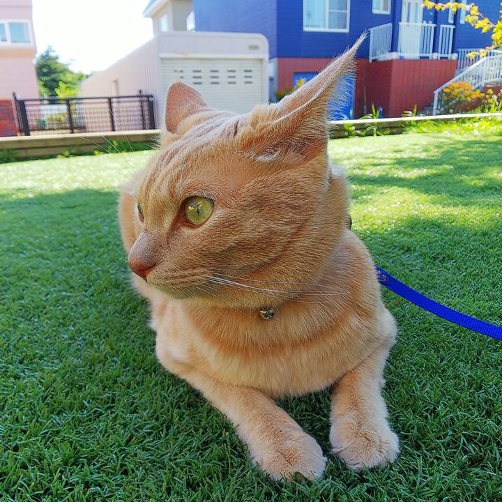 1367cce2 929f 4e0b 885e 6f08df301873 1601365531492