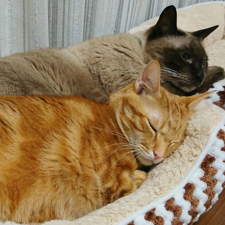 1367e271 48f1 4723 b0f8 123eb3a992cd 1510008546744