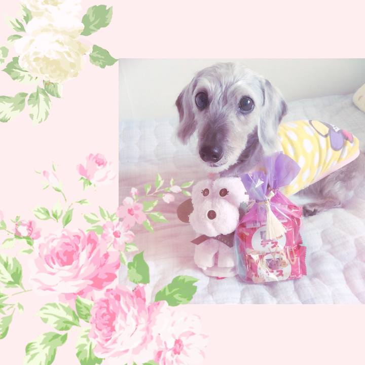 1368260e 1c59 4276 a7f7 4f13c8302c9e 1525309095859