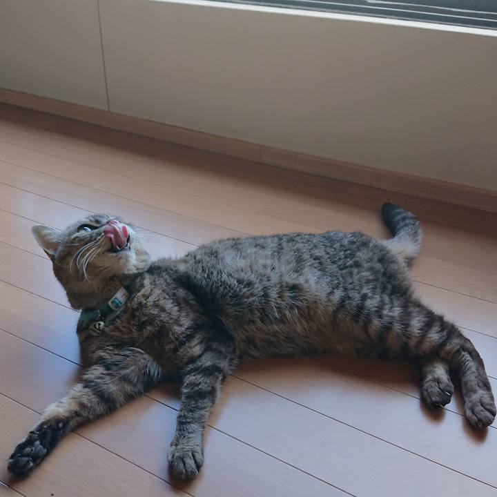 13687fd2 b654 40b7 8e6d 9a91d973ad8f 1558247485588