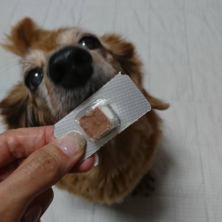 13688676 e714 4507 af25 bd67cecfd9ff 1596240465591