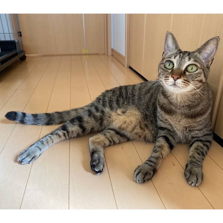 1368b3e5 d33f 4f09 949a 45ab656c903e 1686950630243