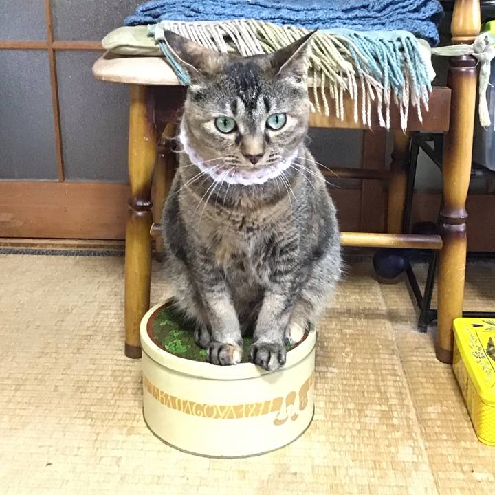 1368b8ca 6542 471a a033 9ac987d53dd9 1749972680240