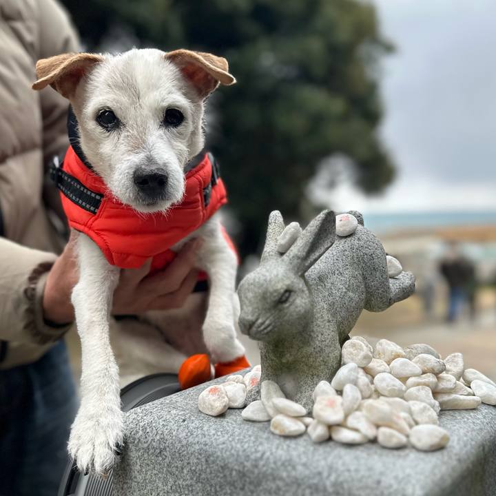 1368d00c 4794 4d60 9d10 8d94d8e961d0 1672504488107