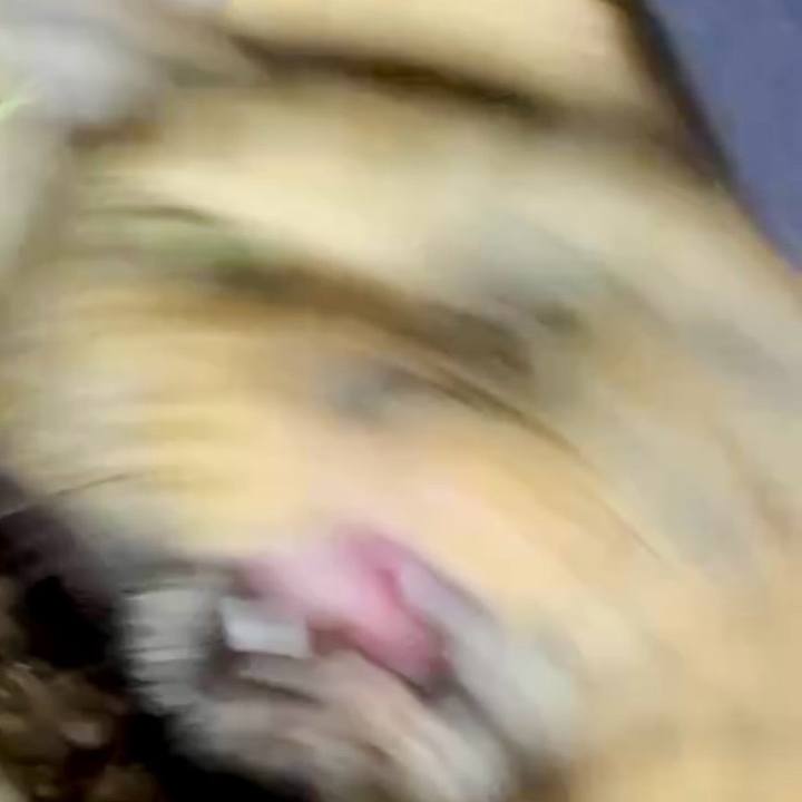 13690a83 6d1c 43ce 9977 d644c00bfd5b 1751285693297