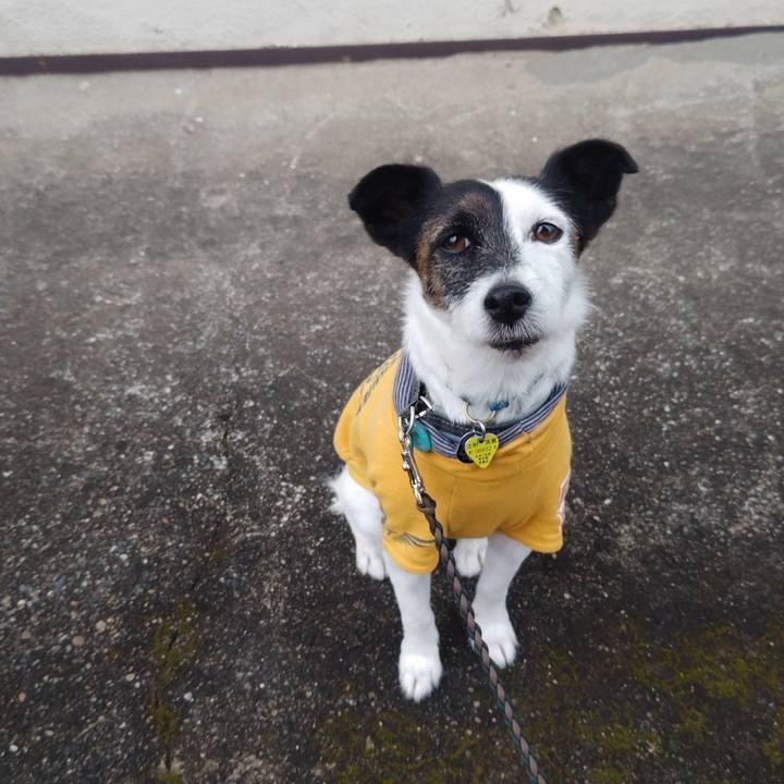 136944a7 c96c 42cc 8cb2 b5021260f22b 1761170412071