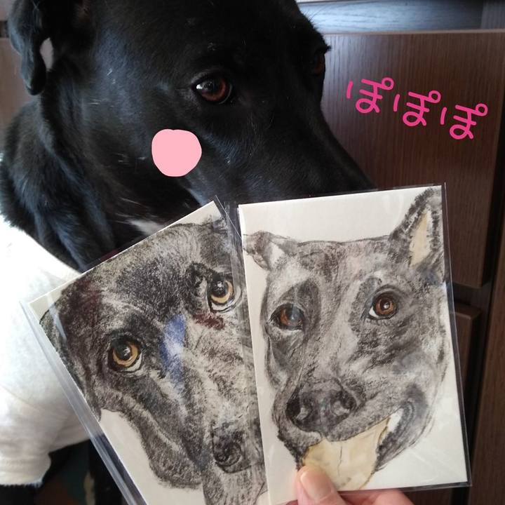 1369807c 753d 4022 8a1c ad371ad76457 1606561003706