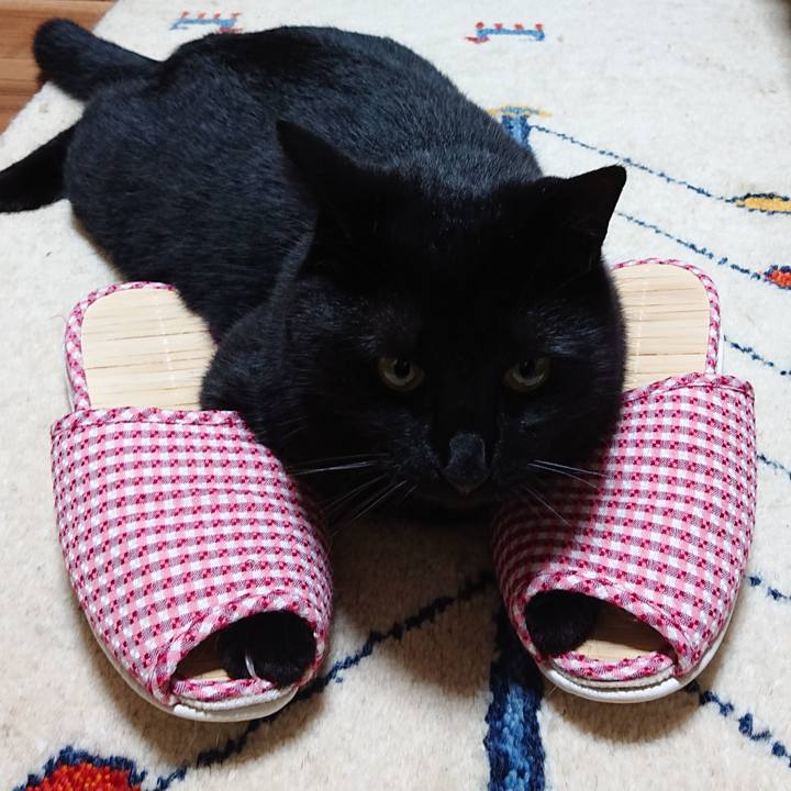 1369bc5c 988c 4719 aefb d04a3d88fe8d 1566439923202