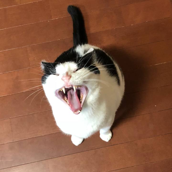 1369f948 a6d3 4364 aff7 f34beb6ab1a8 1547637914280