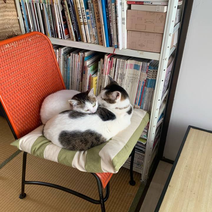 136a0010 e501 41ca bd8d 553fc7e8ed56 1686060535120