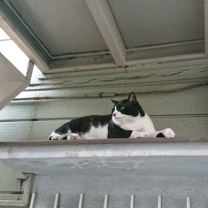 136a357b b45c 49b6 833f af5ce81896ca 1535070347938