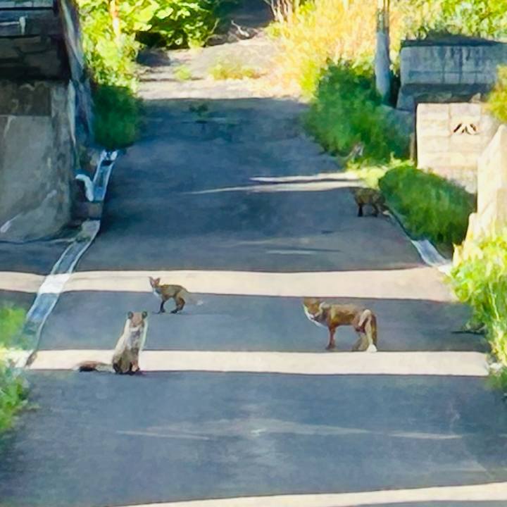 136a5705 7ca9 4e51 bece 0b5698955f4b 1685566249403