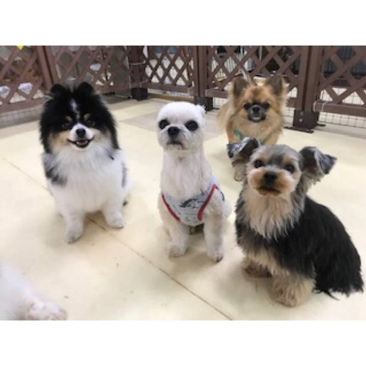 136a7716 cc7f 4794 8a9d 5bb99463abbb 1552392943310