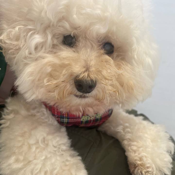 136a7af9 420e 4e01 9985 cf99d7440e04 1759354378114