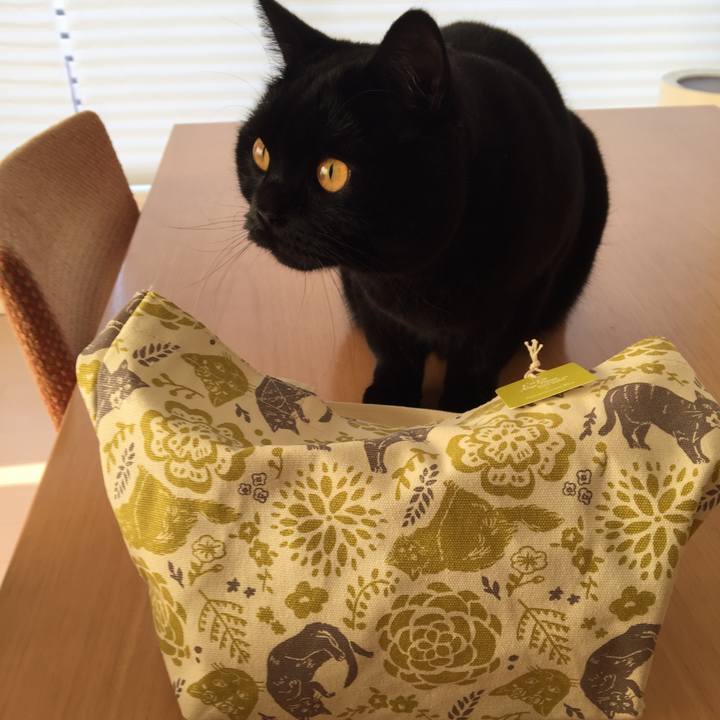 136aa7a9 e163 485a b927 9d08f16e62cf 1518074094044