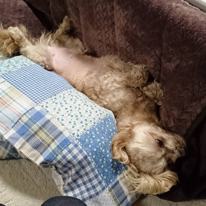 136ad00e 8bea 4674 a72e f2794e23a12b 1613177151468