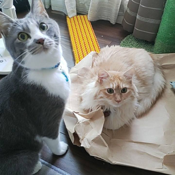 136b2c8e 9d85 4eb6 91e3 db2762a78fb1 1654307836872