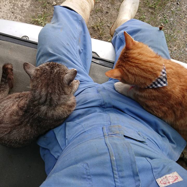 136b7503 18ab 414b 9baf c598b1da0a1f 1569019180899