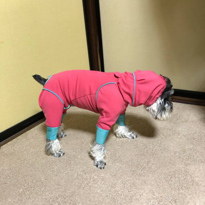 136ba9c8 4964 467f 932a 7284be4608f1 1611064559677