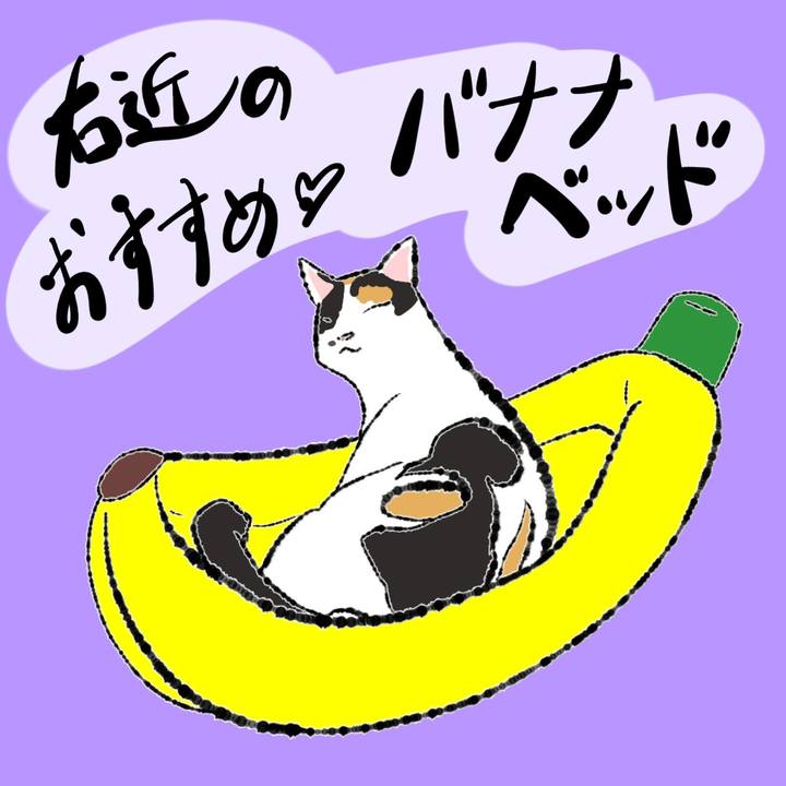 136bbc0d 6e98 4f55 be9f 1c7ac6c321dc 1662009761095