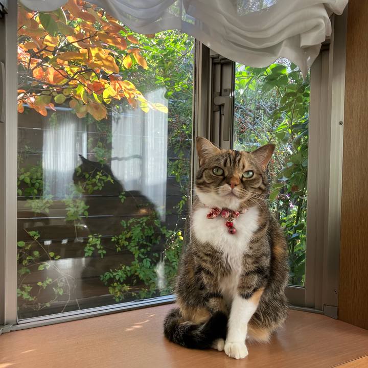 136bbf66 41b5 46c5 8b03 608b41d5badb 1763528699094