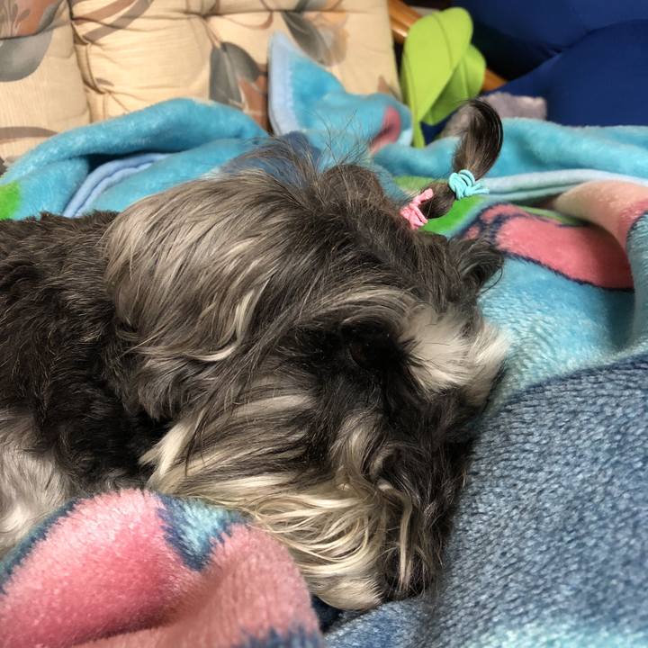 136bc20b a5e2 45e0 9418 b7af7cea538f 1527338094727