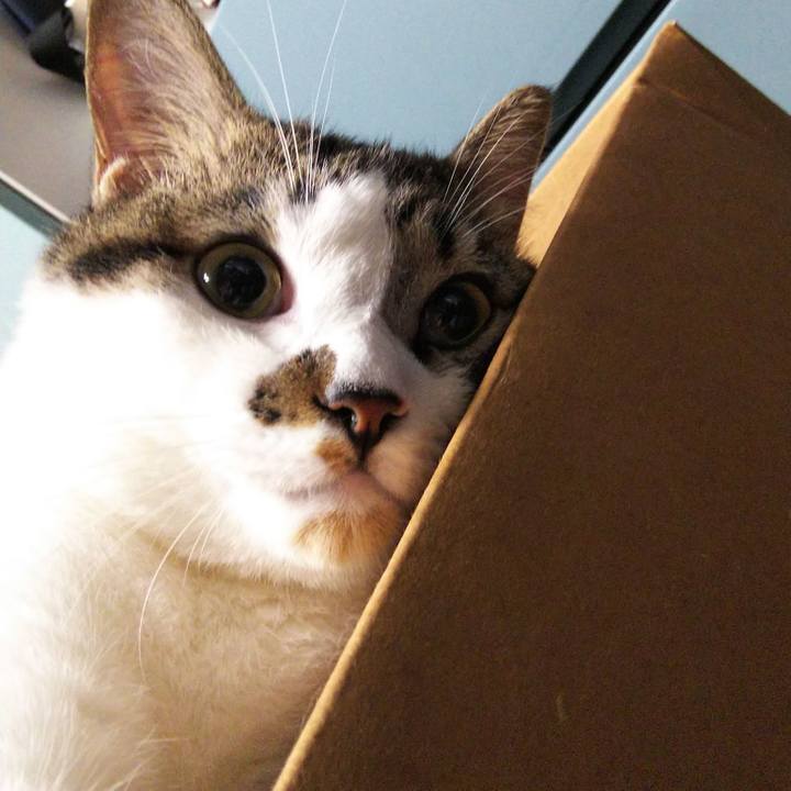 136be60c 67f4 46c3 827a 68f51821a77c 1629893702220