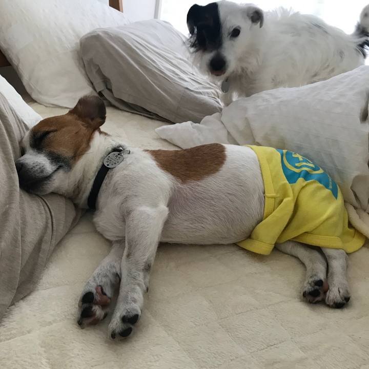 136bf6f2 42b8 45eb 9a3f b42f2b91b275 1523832062901