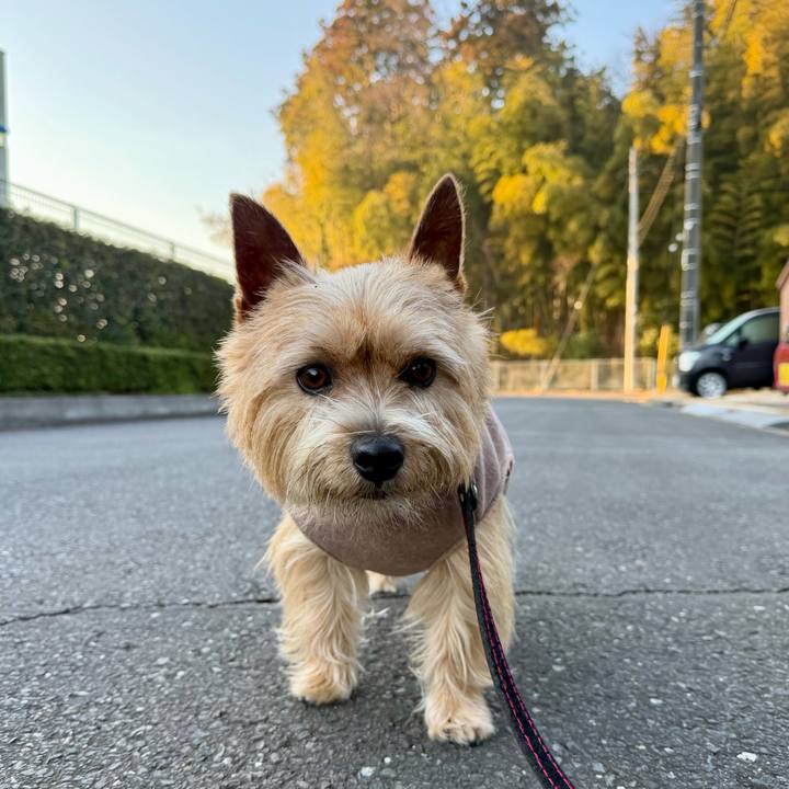 136bf884 31f9 4a40 993a 7f2b97f04102 1771073228102