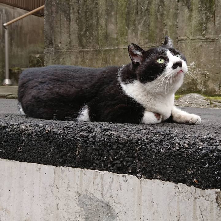 136c1906 689f 4ee2 be1f d99f140dbd20 1624762712683