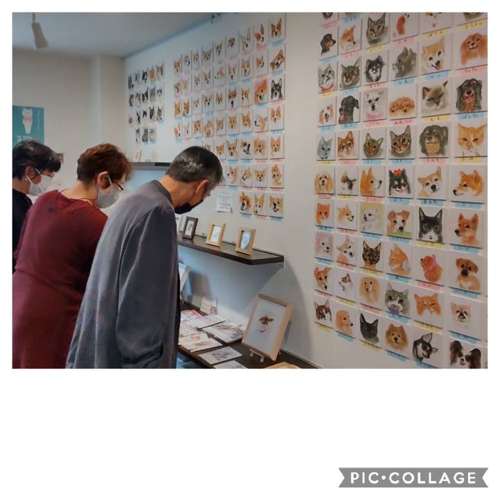 136c2bfd a509 46dd 9dd1 756e137fd593 1665622185473