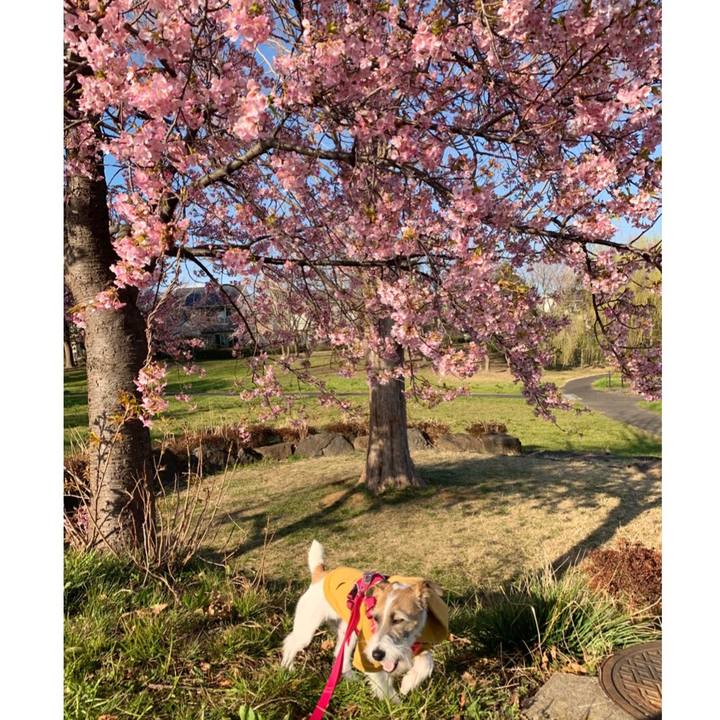 136c3b64 0497 40e4 82e9 5b57c916981f 1583226727990