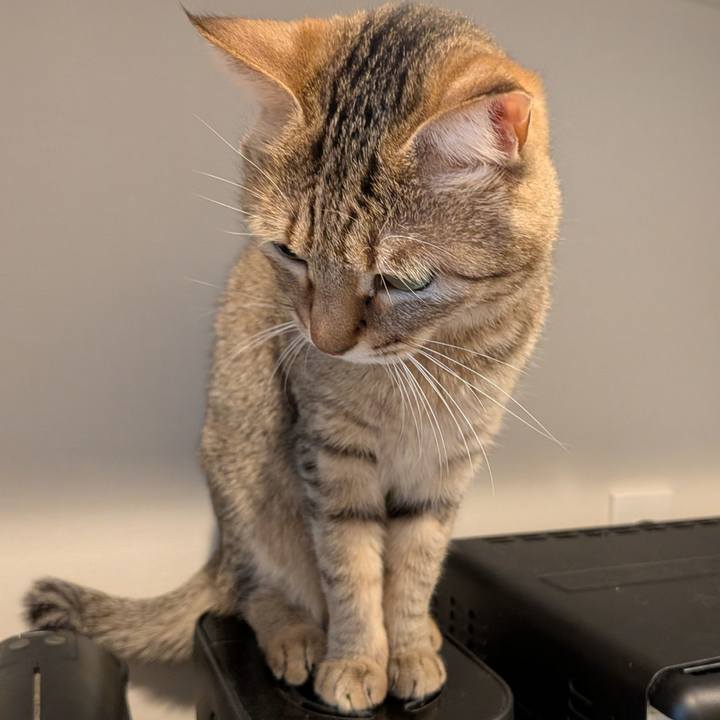 136c4947 677f 43c1 8d6f 850c5253c1ab 1765017334382