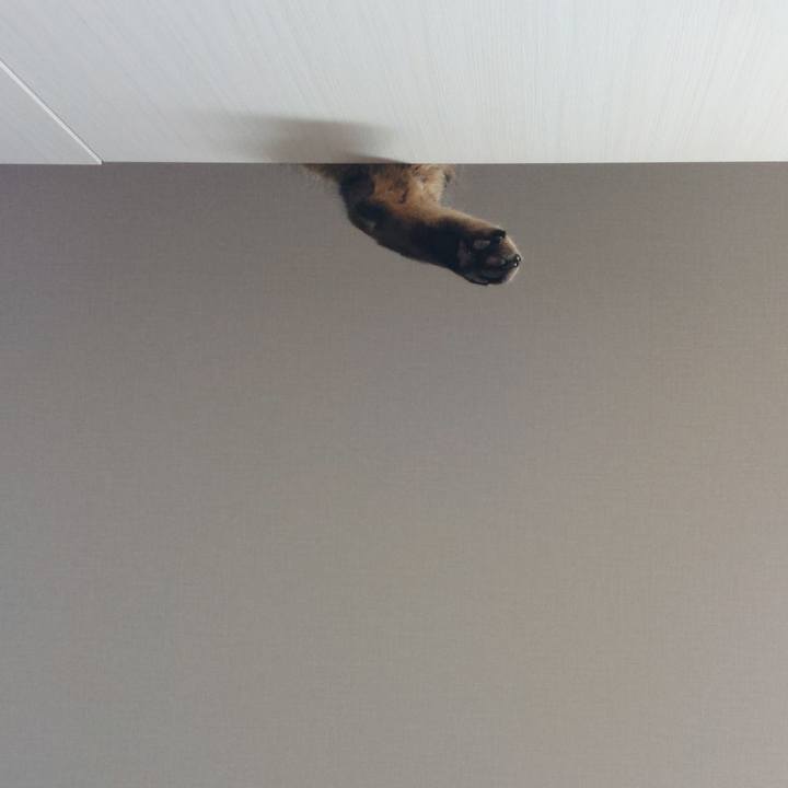 136c816b 4a2d 4c51 8314 448f147f519e 1638189893839