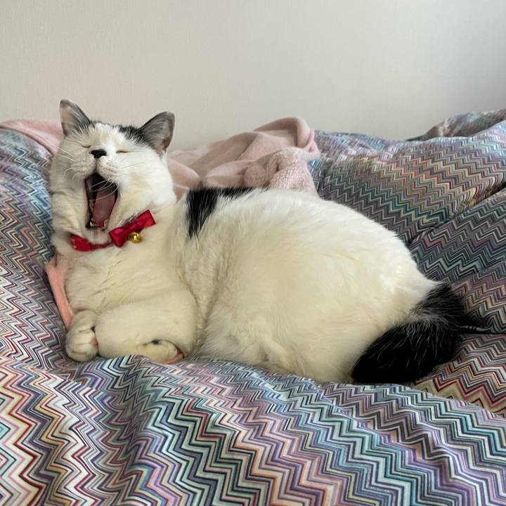 136c9aac 3845 49ee a9b0 807de6679f56 1611620156456