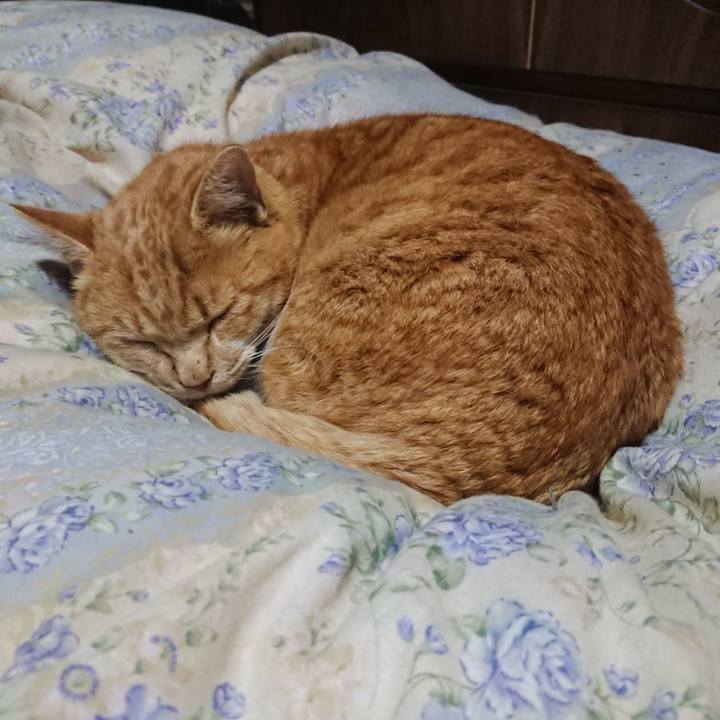 136ce8d7 320e 4ecd b7a9 8eea4d7b15d4 1579693622593