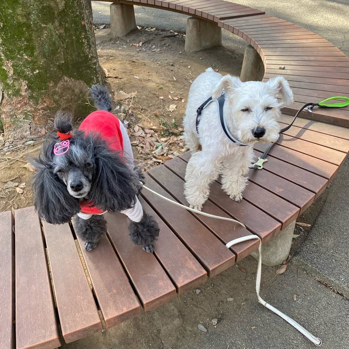 136cef54 cf50 44f6 804a 4ba4178a8581 1770353888532