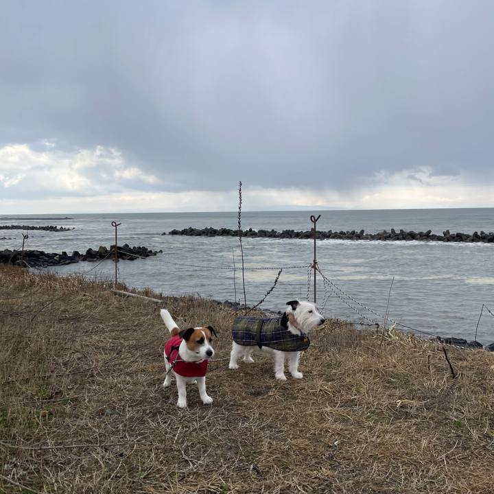 136d257d 886c 4be5 a351 a9916e4a28bf 1678752715031